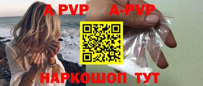 шишки Будённовск