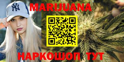 шишки Будённовск