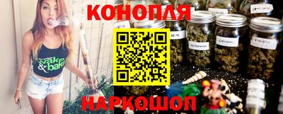 шишки Будённовск