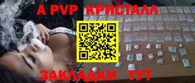 шишки Будённовск