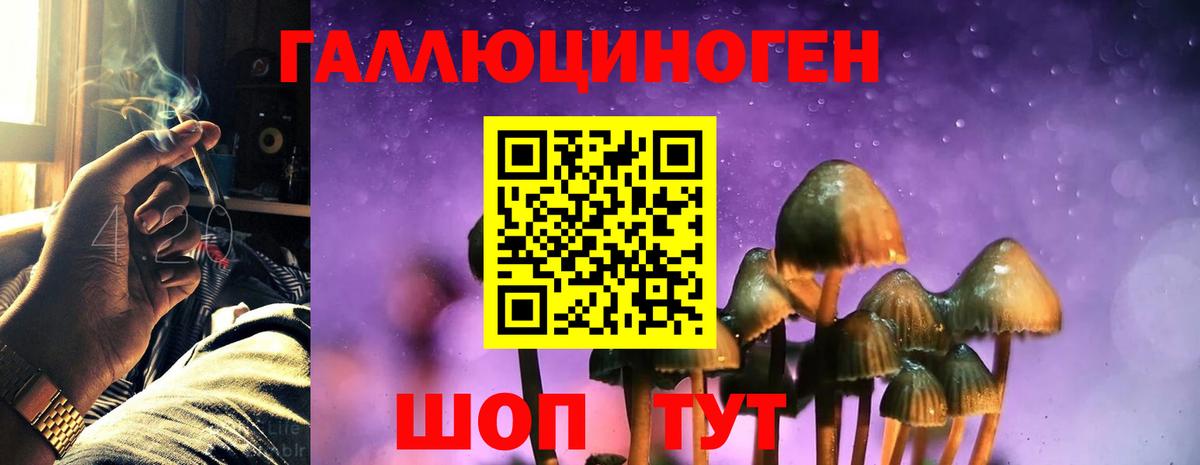 Псилоцибиновые грибы мицелий  Галлюциногенные грибы GOLDEN TEACHER  Сибай  Вход с VPN 