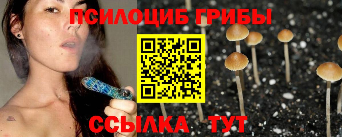 Псилоцибиновые грибы ЛСД Сибай
